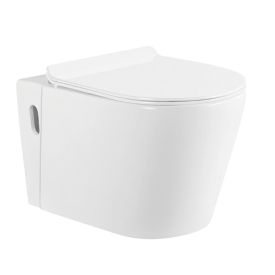 Haies des toilettes intelligentes